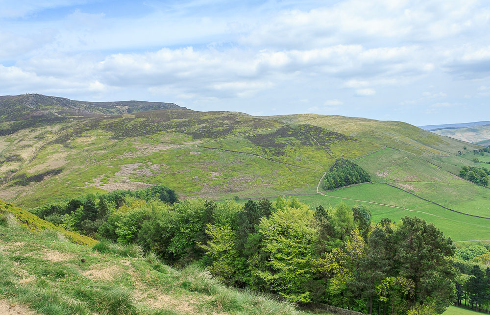 The Nab The Nab